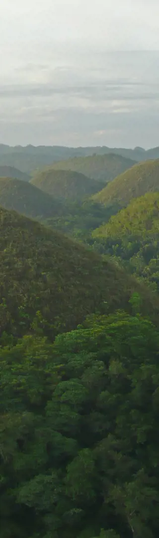 Bohol – Chocolate Hills